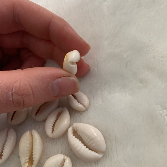 Shell beads - Picture 4 of 5